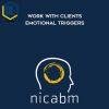 NICABM – Work with Clients Emotional Triggers