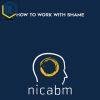 42 NICABM How to work with shame