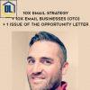 Duston McGroarty 10X Email Strategy 10X Email Businesses OTO 1 Issue of The Opportunity Letter