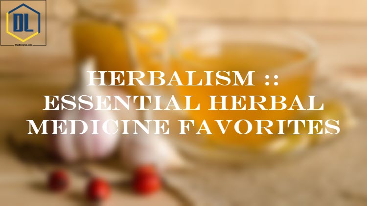 Herbalism :: Essential Herbal Medicine Favorites