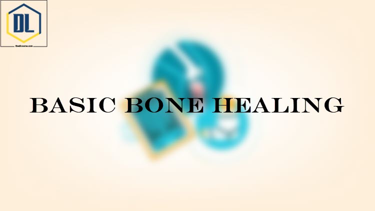 Basic Bone Healing