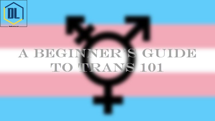 Guide to Trans 101