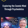 Chris Bache – Exploring the Cosmic Mind Through Psychedelics