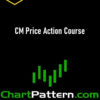 Dan Zanger – CM Price Action Course