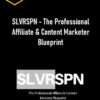 Chris Hardy – SLVRSPN – The Professional Affiliate & Content Marketer Blueprint