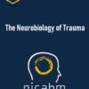 NICABM – The Neurobiology of Trauma