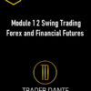 Trader Dante – Module 1 2 Swing Trading Forex and Financial Futures