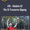 201 – Module 02 The 12 Treasures Qigong by Flowing Zen