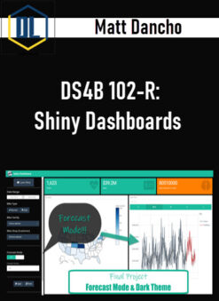 Matt Dancho – DS4B 102-R: Shiny Dashboards