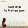 Sandra Anderson – Breath of Life: The Five Prana Vayus