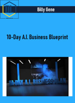 Business Blueprint