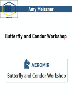 Amy Meissner – Butterfly and Condor Workshop