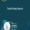 ICT Trader Romeo – Turtle Soup Course