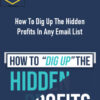 Justin Goff – How To Dig Up The Hidden Profits In Any Email List