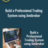 Trading Tuitions – Build a Professional Trading System using Amibroker