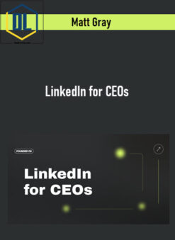 Matt Gray – LinkedIn for CEOs