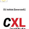 Peep Laja – CXL Institute (ConversionXL)