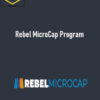 Sean Donahue – Rebel MicroCap Program