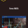 OkkForex – Forex WATA