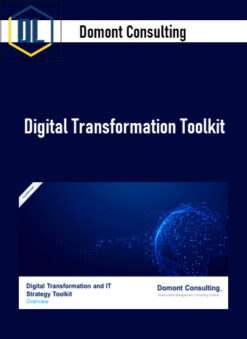 Domont Consulting – Digital Transformation Toolkit