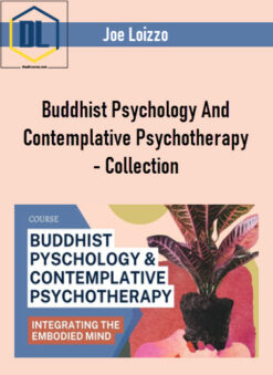 Joe Loizzo – Buddhist Psychology And Contemplative Psychotherapy – Collection