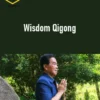 Mantak Chia – Wisdom Qigong